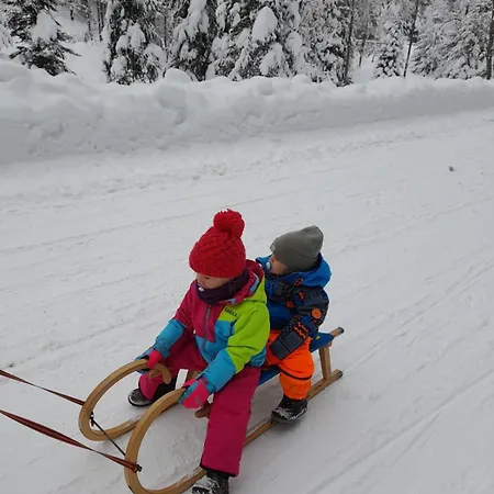 Apartmán Daniela 8 Rauris