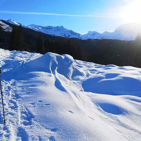 Apartament Daniela 8 *