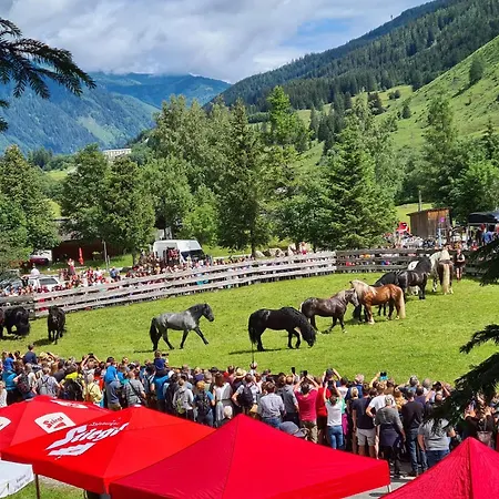 Apartament Daniela 8