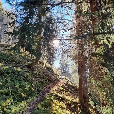 Apartmán Daniela 8 *