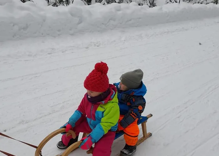 Apartman Daniela 8 Rauris