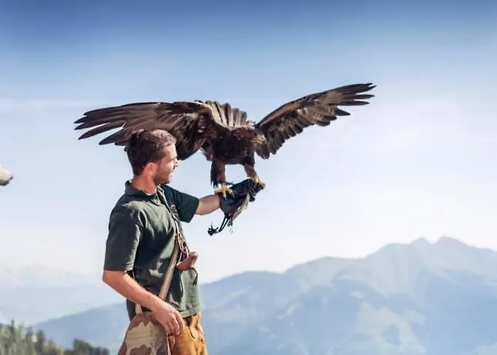 Daniela 8 Apartman *