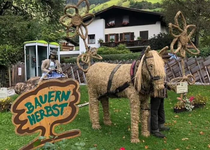 Apartman Daniela 8 *