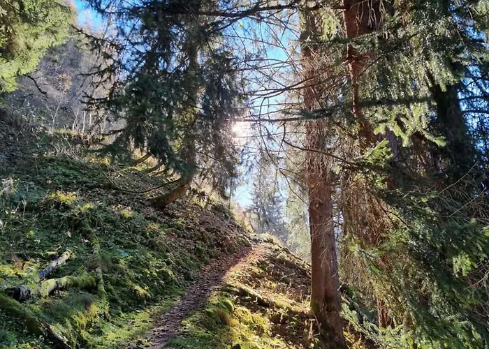 Apartman Daniela 8 *